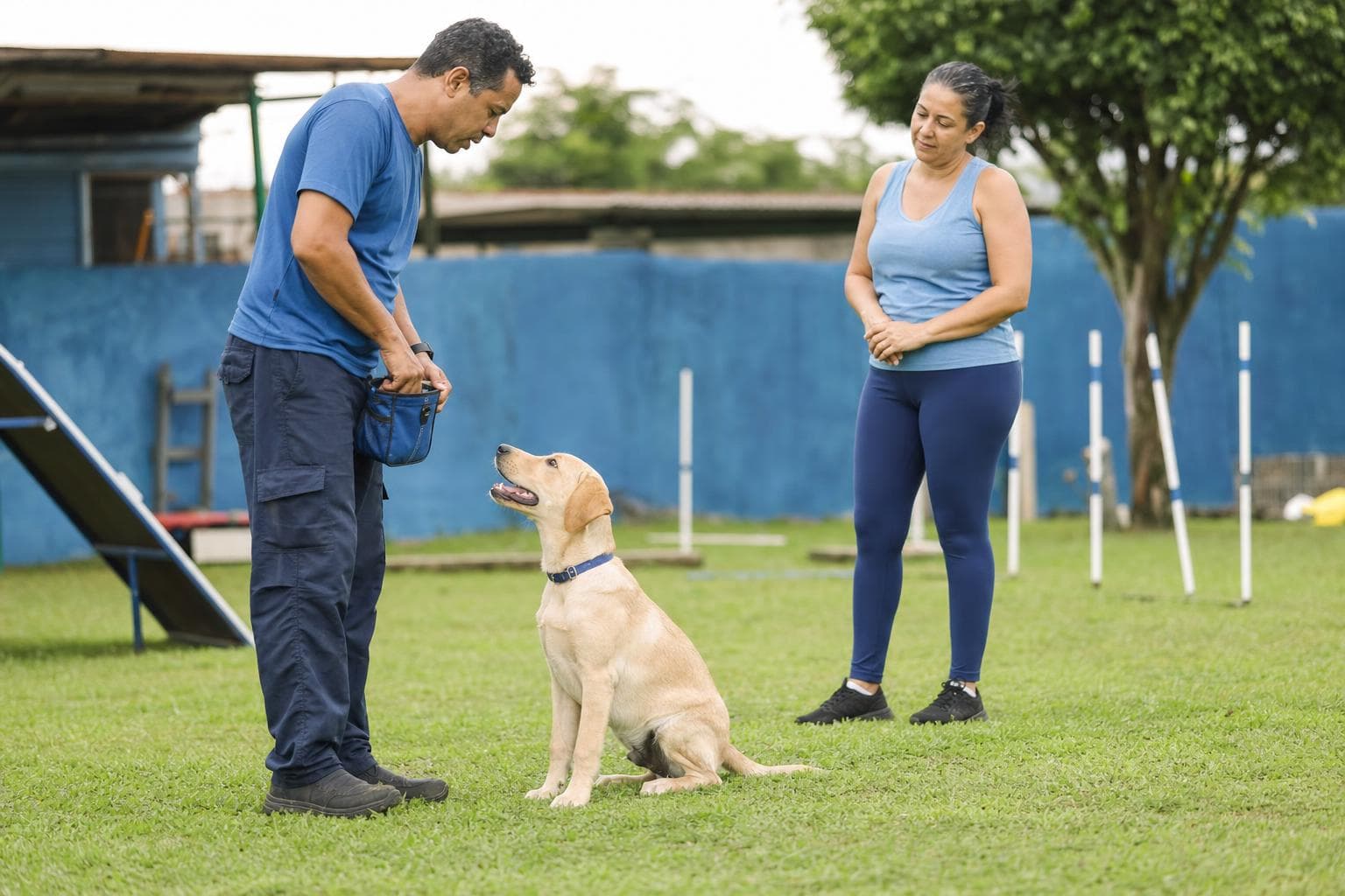 Adestradora ensinando um cão a sentar durante uma aula em um campo gramado