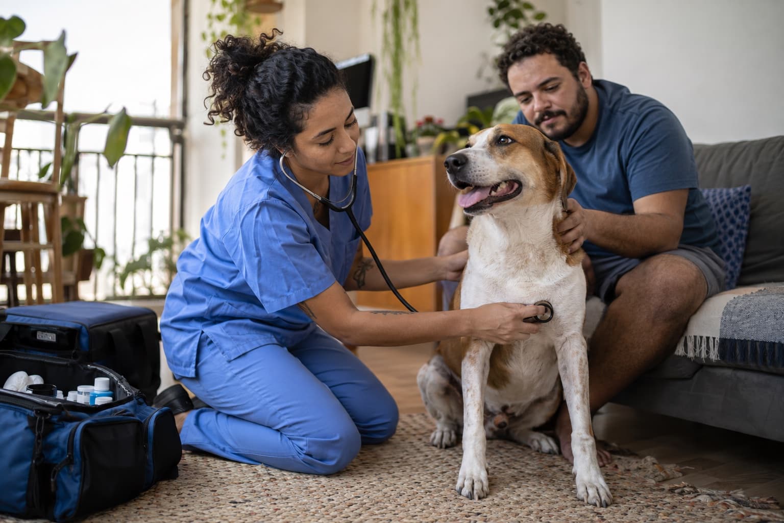 Veterinária de jaleco azul ajoelhada no chão de uma sala examinando um cachorro com estetoscópio enquanto a tutora observa, com a maleta aberta ao lado
