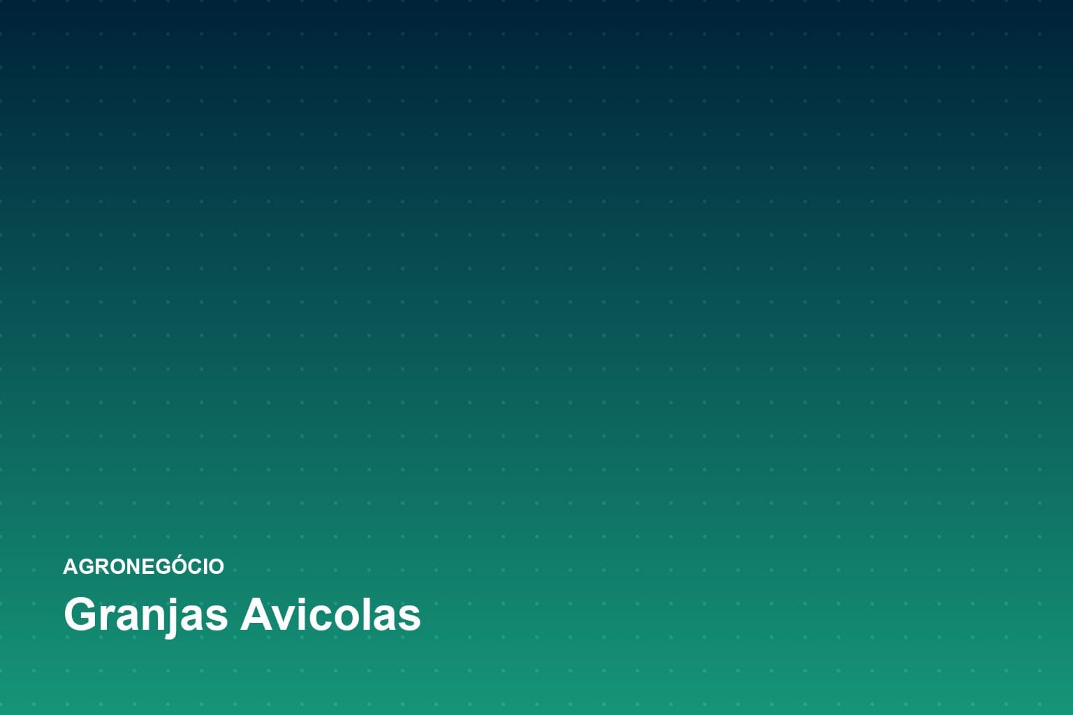Interior de galpão de granja avícola com aves alojadas e linha de comedouros